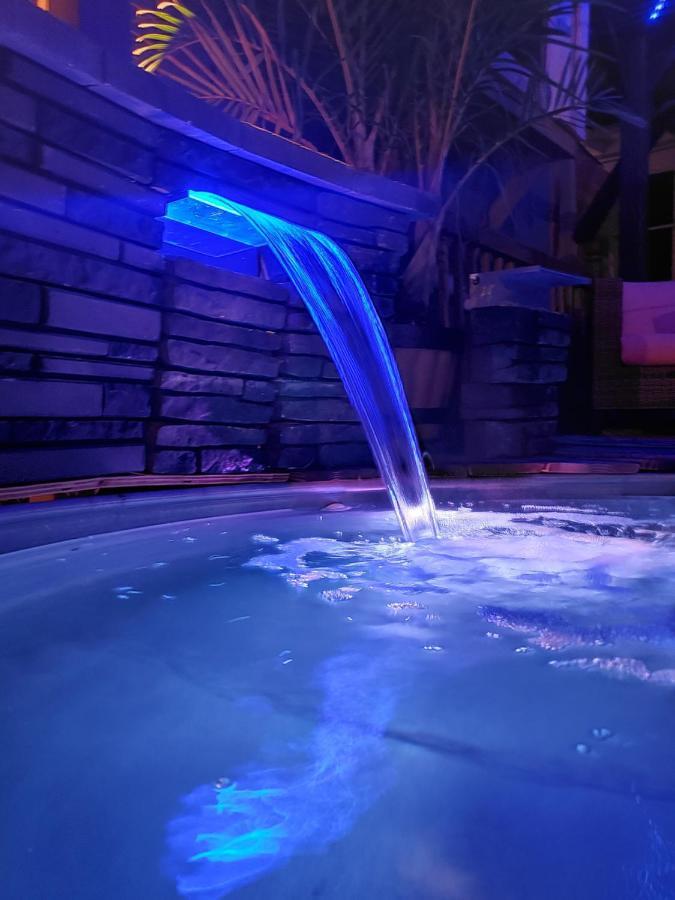 World Solo Travel'S Welcomed At St Pete Home سانت بطرسبرج المظهر الخارجي الصورة